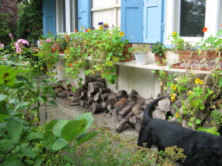 Höch Garten Berlin